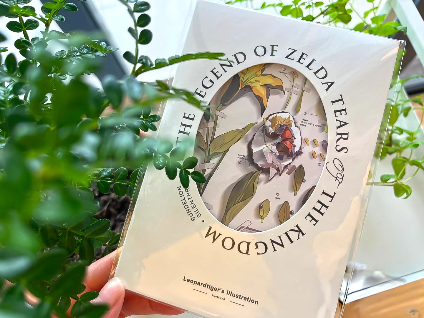 The Legend of Zelda: Tears of the Kingdom Doujin Link Postcard Set | Art by Leopardtiger